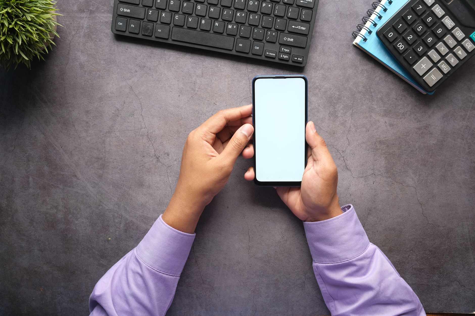 Flutter vs React Native : le match 2026